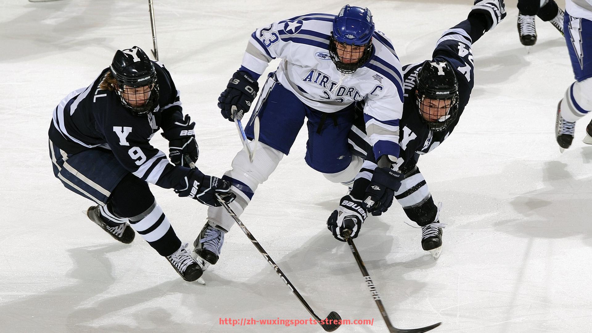 五星体育直播-网易体育NBA频道涵盖哪些内容（网易体育直播官网）